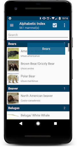 Stuarts North American Mammals Screenshot