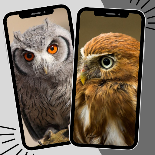 Owl Wallpaper logo