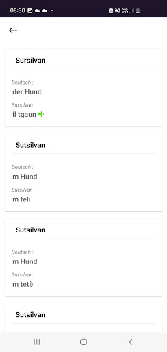 Rätoromanische Wörterbücher