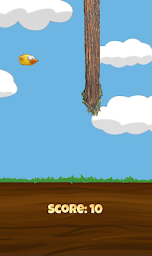 ReynaBirds  -  Bird Adventure Game