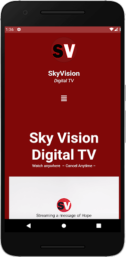 SkyVision Digital TV Screen 2