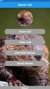 Beaver call simulator
