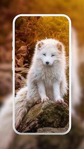 Arctic Fox Wallpaper