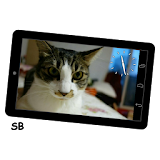 디지털 포토 전자 액자 + 타이머 알림 시계 icon