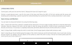 screenshot of Offline Survival Guide