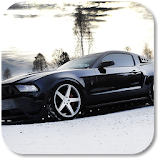 Modified Mustang Pics icon