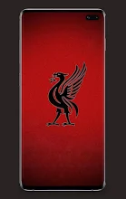 Featured image of post Android Liverpool Wallpaper : Liverpool fc wallpapers 2019liverpool fc wallpapers logo,liverpool wallpapers hd.