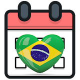 Brazil Calendar 2019 icon