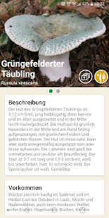 Pilze app Screenshot