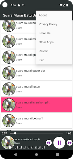 Suara Murai Batu Dijamin Nyaut Screen 2