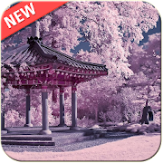 Top 20 Lifestyle Apps Like Sakura Wallpaper - Best Alternatives