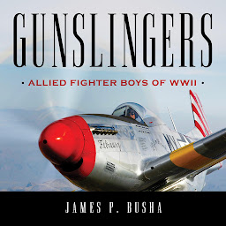 Obraz ikony: Gunslingers: Allied Fighter Boys of WWII