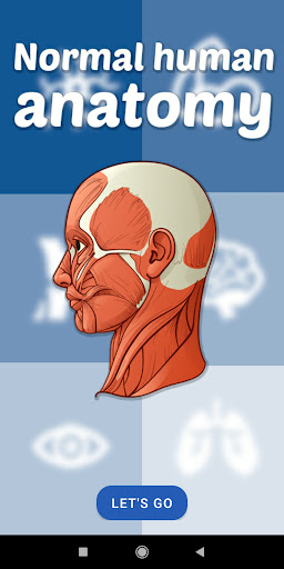 Android application Human anatomy screenshort