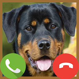 Icon image Fake Call Puppy - Prank Video 