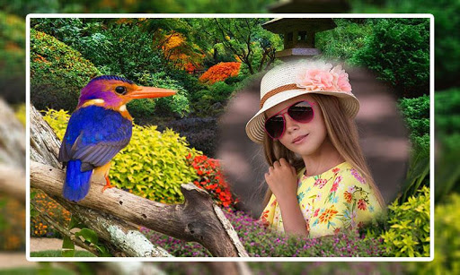 Birds Photo Frames Screen 3