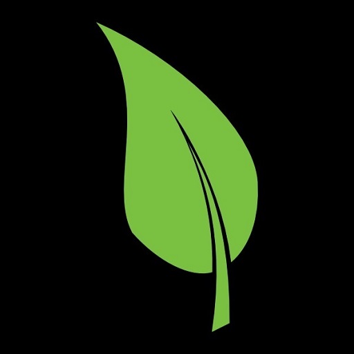 Innova LED logo