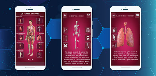 Complete 3D Female Anatomy