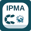 IPMA Projektmanagement Trainer