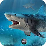 Angry Shark Dive Adventure2017 icon