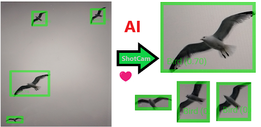 Android application ShotCam (AI Vision for Blind) screenshort