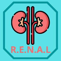 Icon image RENAL Nephrometry Score