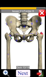 Anatomy Quiz Screenshot