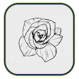 Learn to Draw Flowers: Easily icon