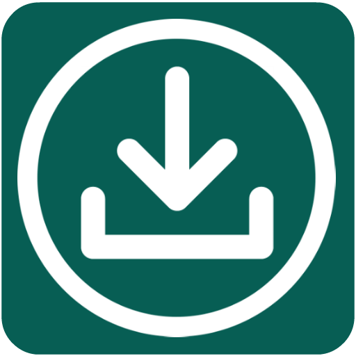 Whats Story Saver logo