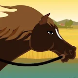 Horse Racing - Animal Doctor icon