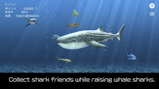 Android application Whale shark that grows calmly screenshort