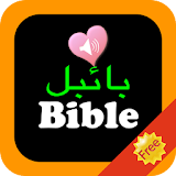 Urdu English Bilingual Audio Holy Bible Offline icon