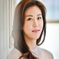 Ha Ji Won Wallpapers Kpop HD