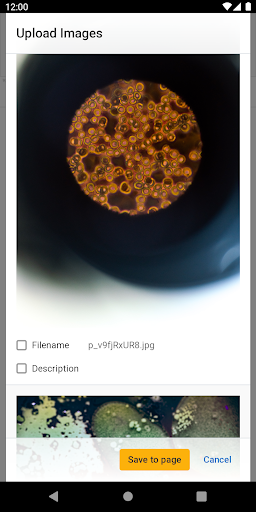 LabArchives ELN for EU