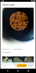 Imatge d'una captura de pantalla