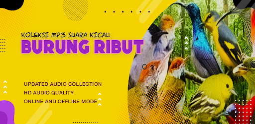 Suara Pikat Burung Ribut Screen 3
