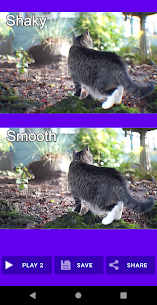 Shaky Video Stabilizer