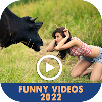 Funny Video 2022