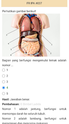Bimbel PPG PGSD Prajab