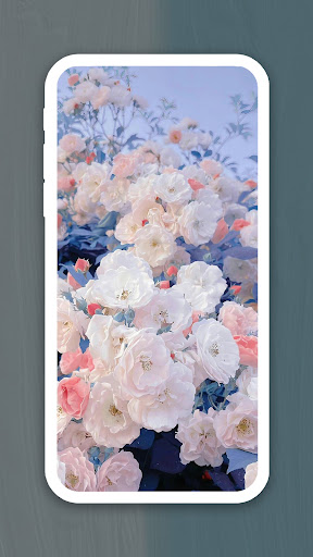 Pastel Floral Wallpaper Screen 3