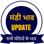 Cover Image of ดาวน์โหลด mandi bhav update  APK