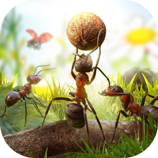 Ants Kingdom