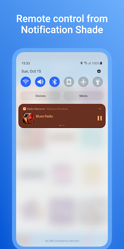Radio Morocco: Music, News, FM Screenshot 4 - AppWisp.com