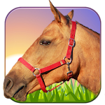 Cover Image of Download Horse Ride 3D 1.6 APK