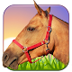 Horse Ride 3D