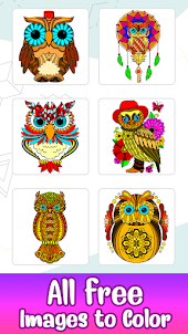 Owl Color by Number Birds Art