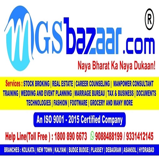 MgsAcademy logo