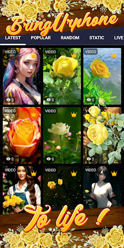 yellow rose wallpaper Screen 2