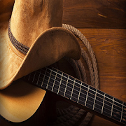Top 18 Entertainment Apps Like Country guitar - Best Alternatives