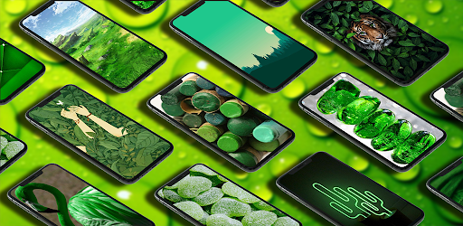 Green wallpaper