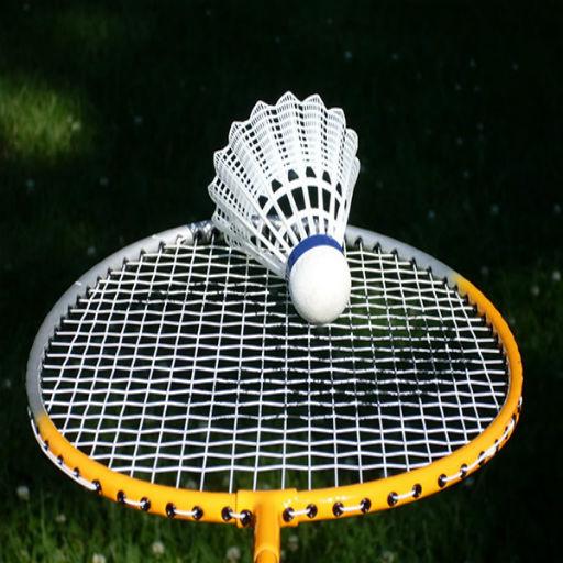 Badminton techniques